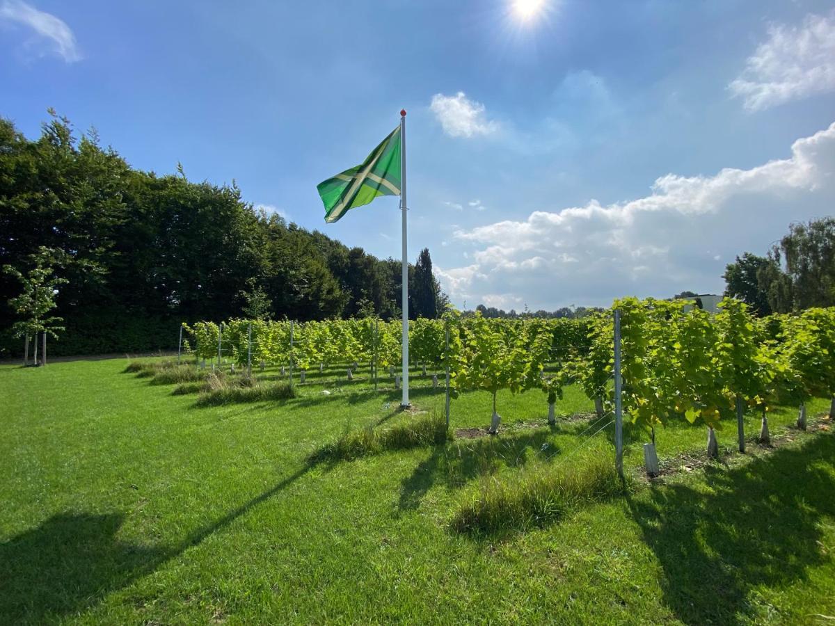 Achterhoeks Goed, Bed & Breakfast In Vragender المظهر الخارجي الصورة